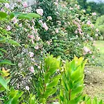 Villa Vignoble Et *