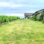 Vignoble Et Villa Sauternes