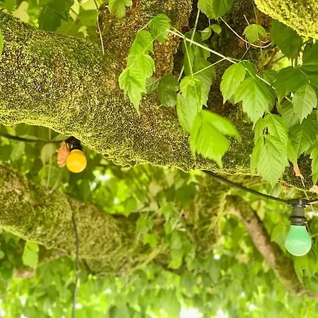 Vignoble Et וילה סוטרן