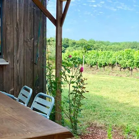 Vignoble Et *