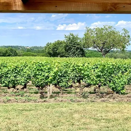 Vignoble Et * סוטרן