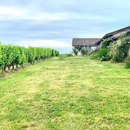 Vignoble Et Villa Sauternes