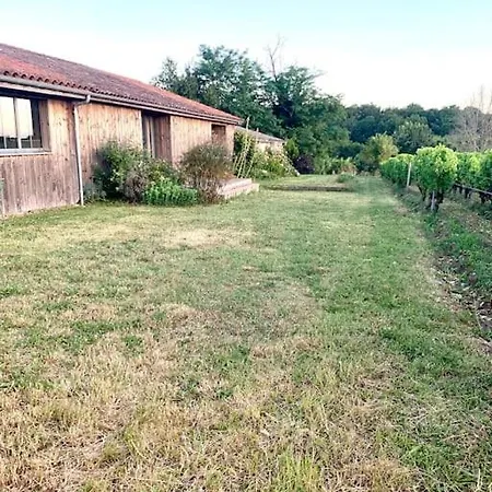 Vignoble Et *