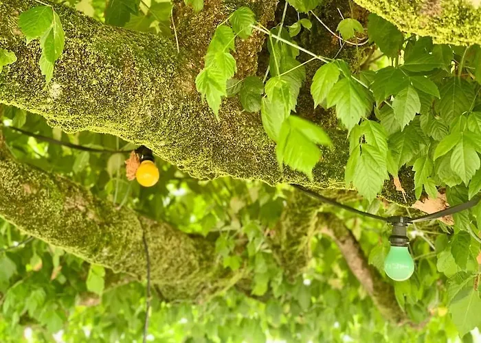 Vignoble Et וילה סוטרן