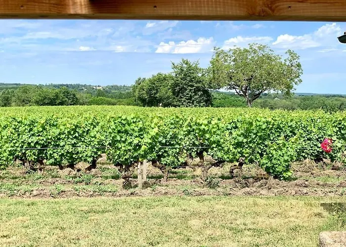 Vignoble Et * סוטרן