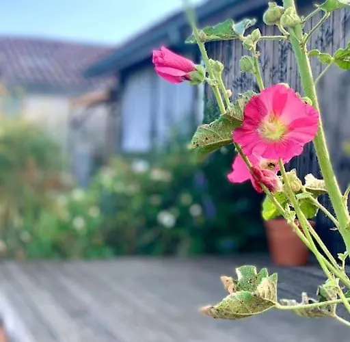 Vignoble Et וילה *