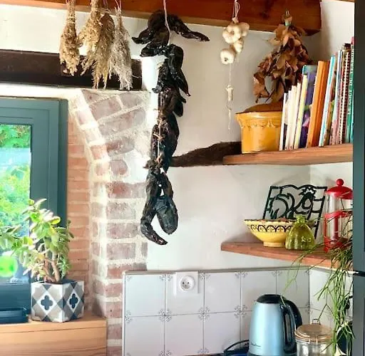 וילה Vignoble Et סוטרן