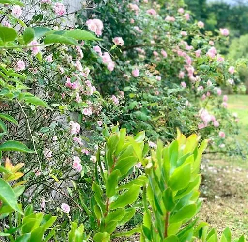 וילה Vignoble Et *